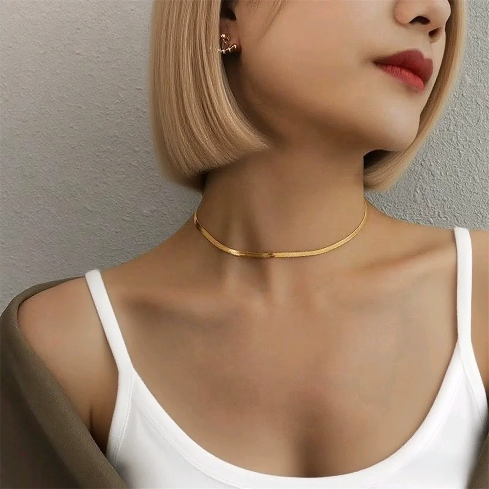 Punk Clavicle Flat Blade Snake Link Choker Necklace Gold Silver Color Stainless Steel Neck Chains For Women Jewelry Chocker 2025